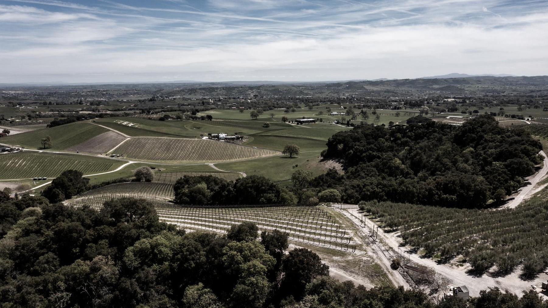 Scenic view of the Willow Creek District in Paso Robles, highlighting rolling hills, rugged terrain, and vineyards. The landscape shows the distinctive limestone and shale soils, with distant mountains and a clear sky.